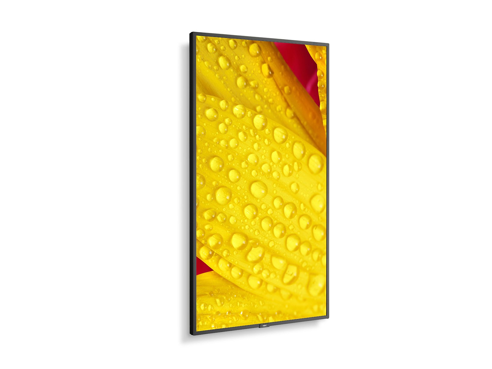 NEC MultiSync® ME501 LCD 50" Message Essential Large Format Display - Image 5